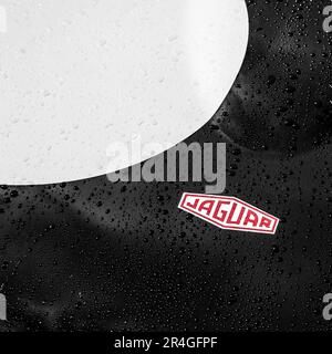 Raindrops Beading on a Jaguar's Bonnet at Goodwood Stock Photo