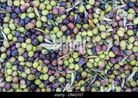 olives, top view beautiful fresh food surface or backgrounds concept ...