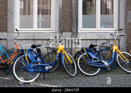 A few blue-yellow rental public transport bicycles 'OV fietsen' stand against and in front of a wall of an old building in Maastricht Stock Photo