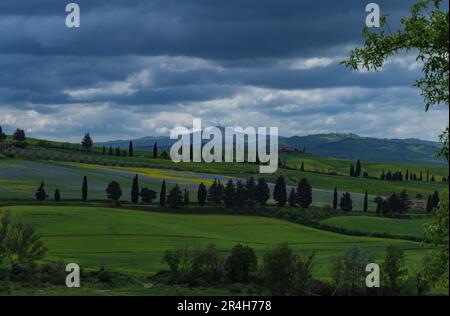 Tuscany fields in springtime, cloudy day mood, Val d'Orca, Pienza region Stock Photo