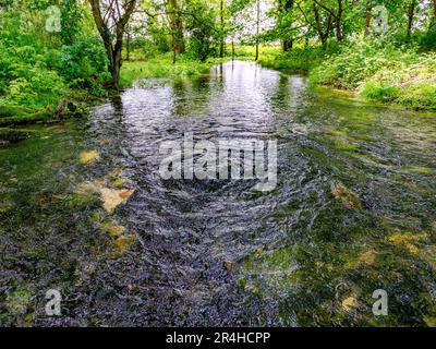 Lyd Well the hidden water source of the River Thames gushing from subterranean aquifers in the Cotswold Hills near Kemble in Gloucestershire UK Stock Photo