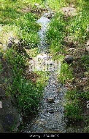 A stream flows through a meadow Stock Photo