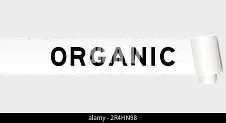 Ripped gray paper background that have word organic under torn part Stock Vector