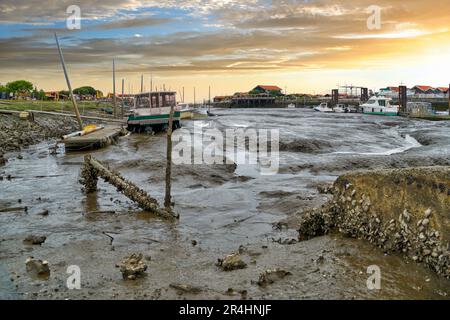 View of the town (commune) of Gujan-Mestras at low tide of the Atlantic Ocean in the Arcachon Bay in the early morning. Ocean water receded from the b Stock Photo