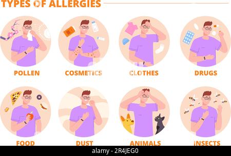 Types of allergies. Allergy type infographic, seasonal allergic disease immunity reaction on allergen pollen citrus rashes cough nose rhinitis, splendid vector illustration of allergy infographic Stock Vector