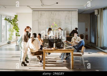 Multiracial male and female colleagues working in creative office Stock Photo