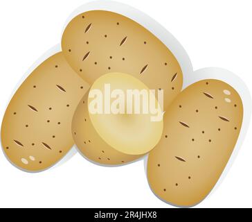 Potato realistic vector illustration Stock Vector