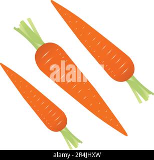 Carrot realistic vector illustrations Stock Vector