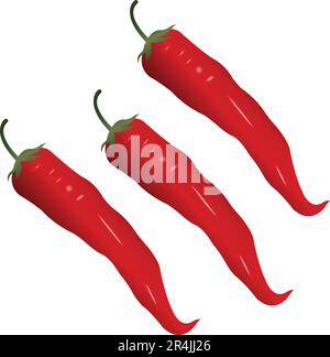 Capsicum, chilli, chili, Chillies Vector Illustration Stock Vector