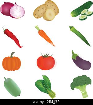 Vector Vegetable realistic Vector illustration Stock Vector