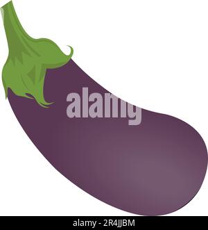 Eggplant realistic vector Illustration Stock Vector