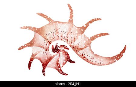 Set of Seashells on isolated white background, watercolor illustration, sea clip art Stock Photo
