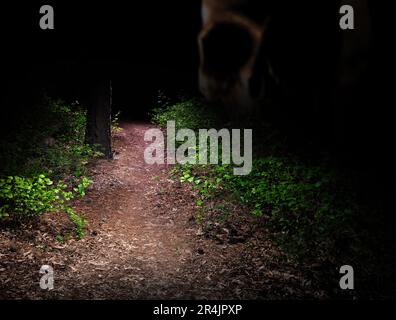 Skull watching a lighted trail in the darm of night Stock Photo