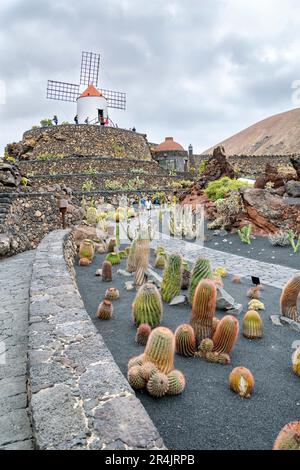 a portrait image of the paths leading through the cactus garden on the island of Lanzarote. Stock Photo