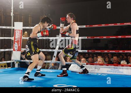 Torhout, Belgium. 29th May, 2023. Belgian Delfine Persoon pictured in action during the fight between Belgian Delfine Persoon and Korean Bo Mi Re Shin, for the WBC Silver Super Feather title women title, Sunday 28 May 2023, in Torhout. BELGA PHOTO KURT DESPLENTER Credit: Belga News Agency/Alamy Live News Stock Photo