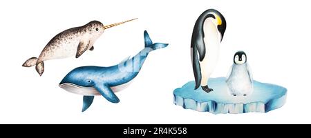 Watercolor narwhal with long tusk and blue whale, king penguins on ice isolated. Hand painting realistic Arctic and Antarctic ocean mammals. For Stock Photo