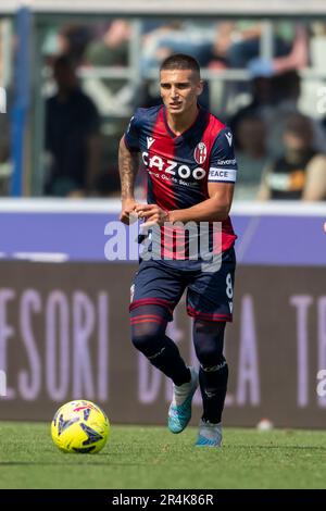 Bologna, Italy. 28th May, 2023. Nicolas Dominguez (Bologna) during the Italian 'Serie A' match between Bologna 2-2 Napoli at Renato Dall Ara Stadium on May 28, 2023 in Bologna, Italy. Credit: Maurizio Borsari/AFLO/Alamy Live News Credit: Aflo Co. Ltd./Alamy Live News Stock Photo