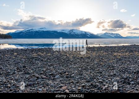 Man walking standing beside partial frozen thawing lake in Canada during spring time with snow capped mountains in background in wilderness area. Stock Photo