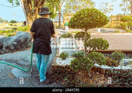 Back view of Asian woman in black hat and black shirt wearing jeans using garden hose to watering ornamental plant in japanese style garden. Care for Stock Photo