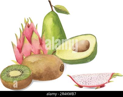 Tropical fruits - kiwi, dragon fruit, pears, avocado, highlighted on a white background. Watercolor Stock Vector