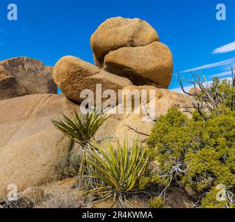 Balanced Rock Formation On The Skull Rock Nature Trail, Joshua Tree National Park, California, USA Stock Photo