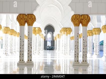 Scenic view of courtyard of Sheikh Zayed Mosque in Abu-Dhabi. UAE Stock Photo