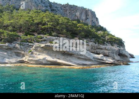Huge rock, overgrown with forest on the slope Stock Photo