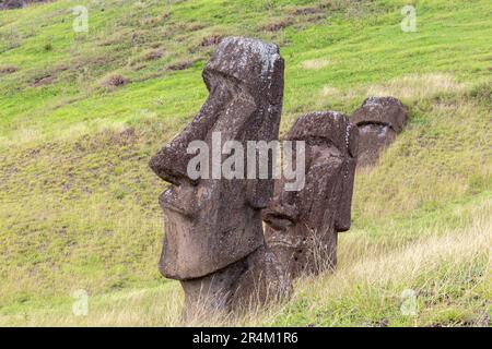 Moai Sculpture Heads Close Up Ground Side View, Rano Raraku Green Hillside, Famous UNESCO World Heritage Site. Easter Island, Rapa Nui Chile Stock Photo