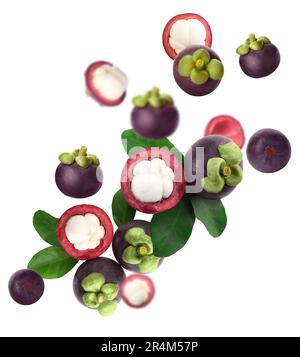 Many ripe mangosteen fruits and leaves falling on white background Stock Photo