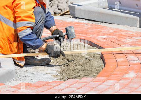 A bricklayer in work gloves and overalls carefully measures the size with a wooden plank and lays orange paving slabs on a footpath on a sunny day. Stock Photo