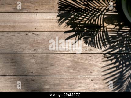 Empty space on old vintage wooden plank floor background with summer natural palm leaf shadow in pot. Rustic wooden surface home floor shaded by tropi Stock Photo