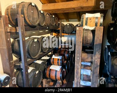 a balsamic vinegar production and sales DOP outlet, Modena Italy Stock Photo