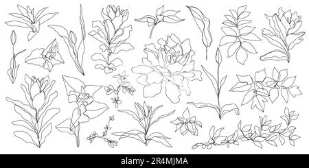 Vector set of hand drawn, single continuous line flowers, leaves. Art floral elements. Use for t-shirt prints, logos, cosmetics and beauty design Stock Vector