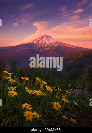 View of Oregon's Mt Hood Stock Photo - Alamy