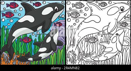 Mother Killer Whale Baby Killer Whale Illustration Stock Vector