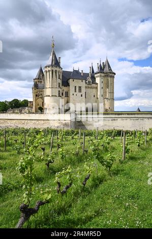 The castle Château de Saumur at Saumur, Loire valley, France Stock Photo