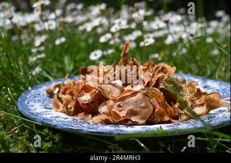 Veggie crisps made from beetroot, zucchini, and other vegetable Stock Photo