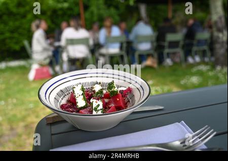 The restaurant La route du Sel by Marie Monmousseau serves classic French cuisine in a garden setting next to the Loire river. Here: beetroot salad. Stock Photo