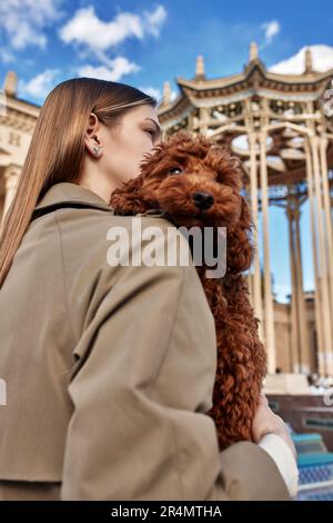 A young pretty blonde girl in a beige raincoat holds her cute pet red toy poodle in her arms and plays with a dog. Love and affection for pets Stock Photo