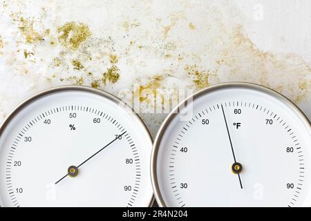 https://l450v.alamy.com/450v/2r4n204/wall-overgrown-with-mold-or-mildew-with-analog-thermometer-indicating-56-degrees-fahrenheit-and-a-hygrometer-measuring-70-percent-relative-humidity-2r4n204.jpg