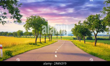 as the sun sets, the road leads through a beautiful countryside. journey continues promising a beautiful scene at every turn. trees long the path bene Stock Photo