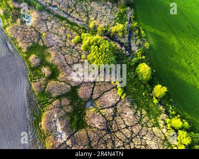 Aerial drone view of winding river in green field. Lush wetlands of bird's eye view Stock Photo