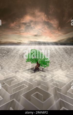 Green issues maze finding your way back to nature concept Stock Photo