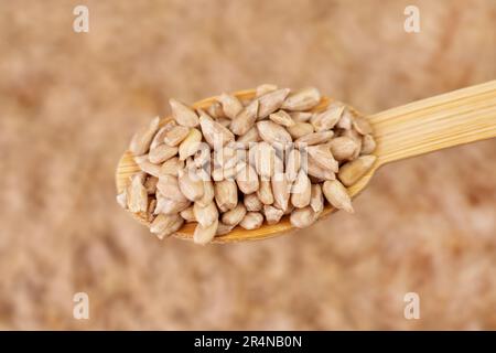 Peeled dried organic sunflower seeds in a bamboo spoon closeup Stock Photo