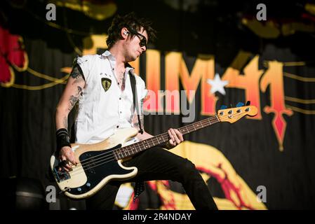 FLORENCE, ITALY, FIRENZE ROCKS FESTIVAL: Cone McCaslin, bassist of the Canadian punk rock band SUM41, performing live on stage at the Firenze Rocks festival Stock Photo