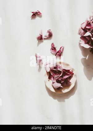 Floral arrangement with pink Hydrangea flowers in small plate, natural floral flat lay in summer seasonal style. Minimal monochrome with shadows. Top Stock Photo