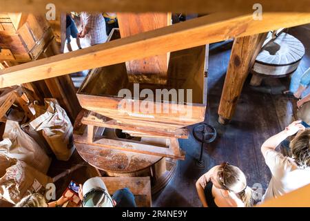 Straupitz, Germany. 29th May, 2023. Visitors tour the interior of the Holländerwindmühle in the Spreewald town of Straupitz on Whit Monday for German Mill Day. The Holländerwindmühle in Straupitz is the last working triple windmill in Europe. A grain mill, an oil mill and a sawmill are in operation here. The entire mill complex was renovated in 2001/2002. Credit: Frank Hammerschmidt/dpa/Alamy Live News Stock Photo
