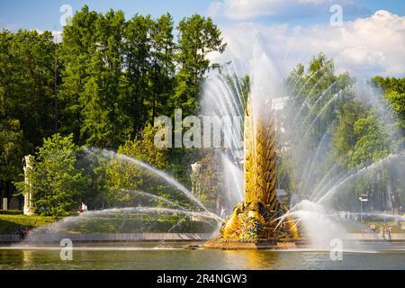 Moscow, Russia - May 18, 2023: golden ear fountain. big fountain Stock Photo