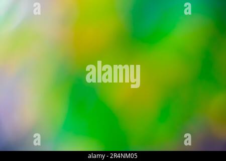 Beautiful blurred background image of spring nature,blur natural and light background,defocused blur background,holiday wallpaper,Green bokeh abstract Stock Photo