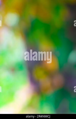 Beautiful blurred background image of spring nature,blur natural and light background,defocused blur background,holiday wallpaper,Green bokeh abstract Stock Photo